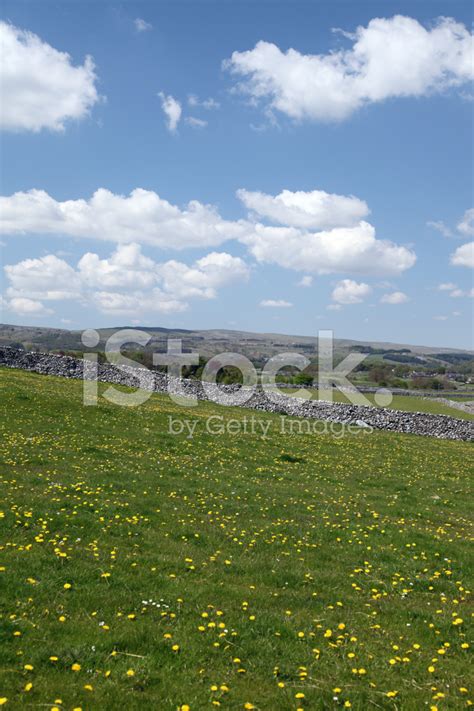 Yorkshire England Countryside Summer Scene Stock Photo | Royalty-Free | FreeImages