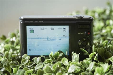 Sony DSC-W800 Review: Solid Performance, Price Point