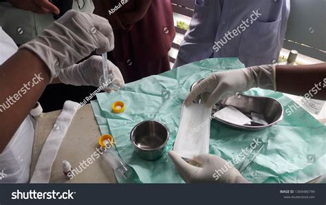 48 Maggot Therapy Debridement Images, Stock Photos & Vectors | Shutterstock