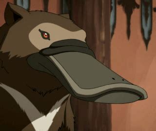 Revenge on a Platypus Bear | Wiki | Avatar: Legend Of The Benders Amino