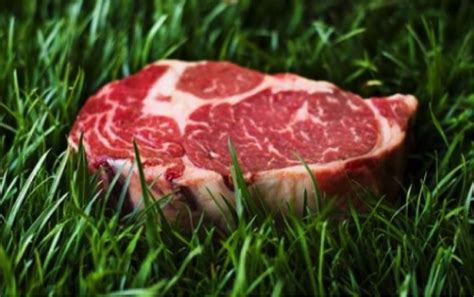 grass-fed_steak