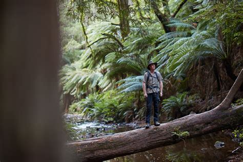 Great Otway National Park - Visit Great Ocean Road