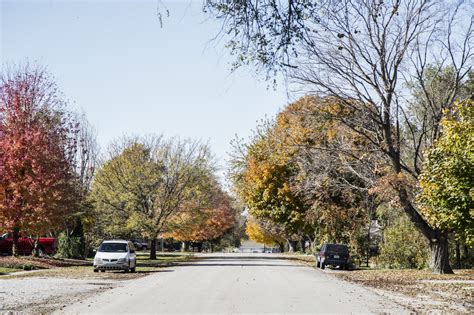 Lone Tree, Iowa Population: 1,300 “Lone Tree was... at Forgotten Iowa