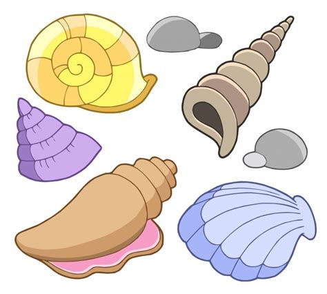 Seashell clip art sea shells clip art seashells 2 image - Clipartix