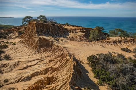 Torrey Pines State Natural Reserve - The Intrepid Life