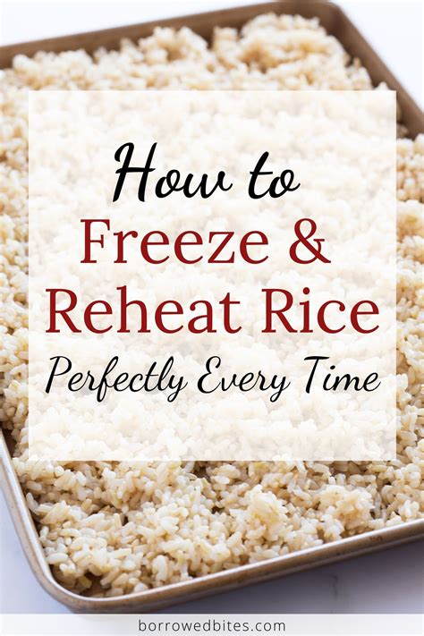 How to Freeze and Reheat Rice Perfectly Every Time | Borrowed Bites | Recipe in 2020 | How to ...