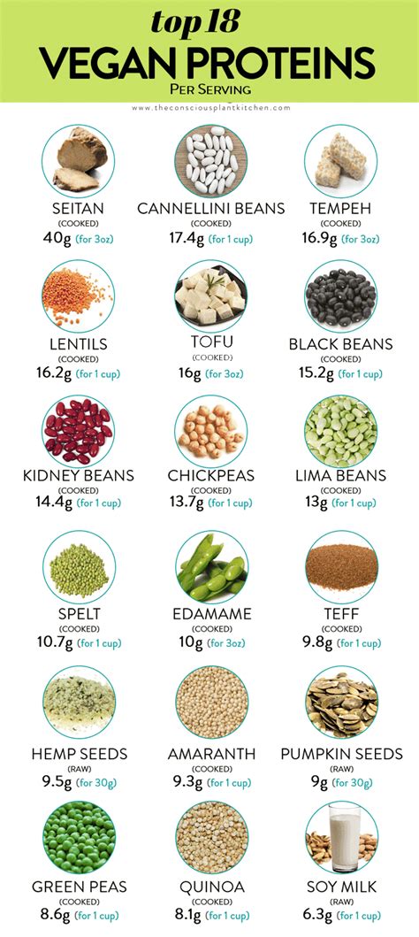 Best Vegan Protein Sources - The Conscious Plant Kitchen