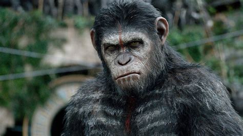 ‎Dawn of the Planet of the Apes (2014) directed by Matt Reeves ...