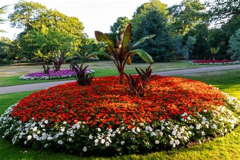 The London park named the 'best for dogs' but there's one part they're not allowed to visit ...