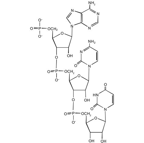 19.2 Nucleic Acid Structure | The Basics of General, Organic, and Biological Chemistry