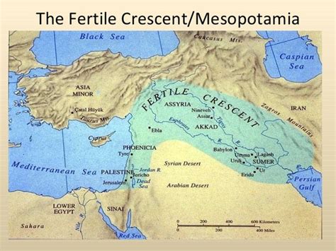 Fertile Crescent timeline | Timetoast timelines