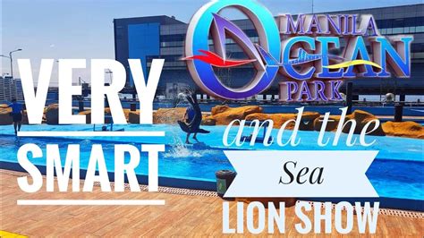 Manila Ocean Park And The Sea Lion Show! - YouTube