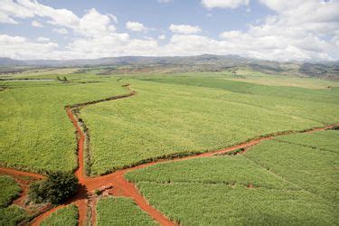 Visiting Kauai's Kilohana Plantation and Luau Kalamaku