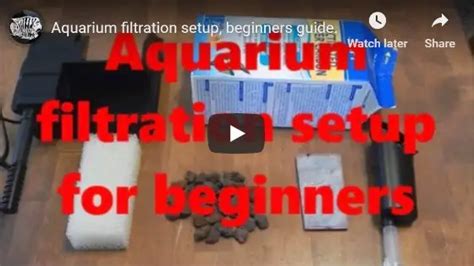 Aquarium Filter Types - Top 3 Filters For Beginners