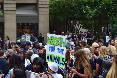 Animal Activism – 14 Awesome Tips for Animal Activists!