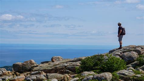 A Complete Guide to Acadia National Park Wildlife - Getaway Couple