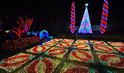 Winter Lights at NC Arboretum Photo Tour