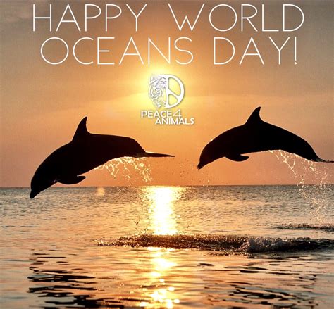 Celebrate World Oceans Day 2017! - World Animal News