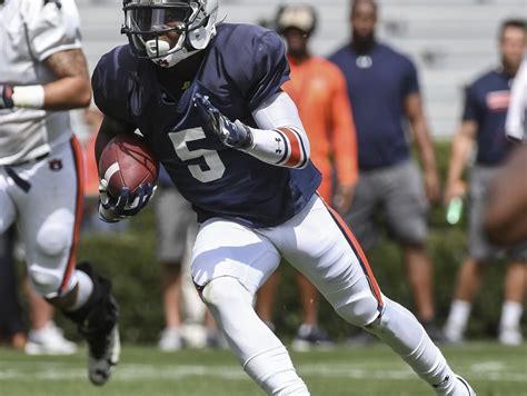 John Franklin III catches a TD pass in Saturday’s scrimmage | USA TODAY ...