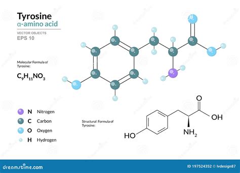 Tyrosine Structure