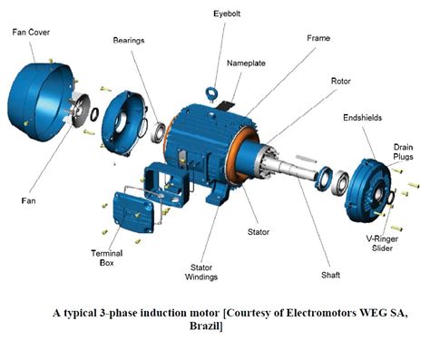 Operation Of Three Phase Induction Motor