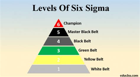 Levels of Six Sigma | Explore the Different Levels of Six Sigma