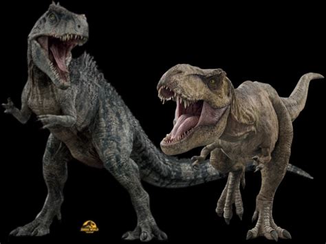 Giganotosaurus Vs T Rex