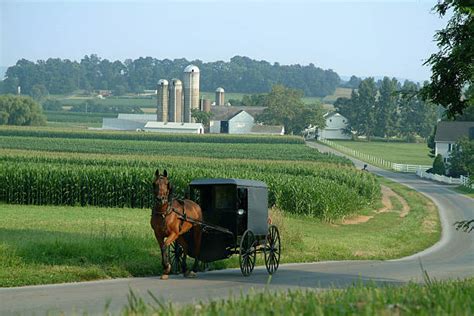 5,400+ Pennsylvania Amish Country Stock Photos, Pictures & Royalty-Free ...