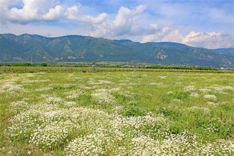 Meadow in Rose Valley, Bulgaria Stock Image - Image of blue, agriculture: 153671231