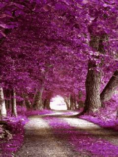 Purple Dreamscapes ☆ Shades Of Purple, 50 Shades, Deep Purple ...