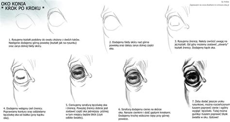 Horse eye- tutorial by Ardea4 on DeviantArt