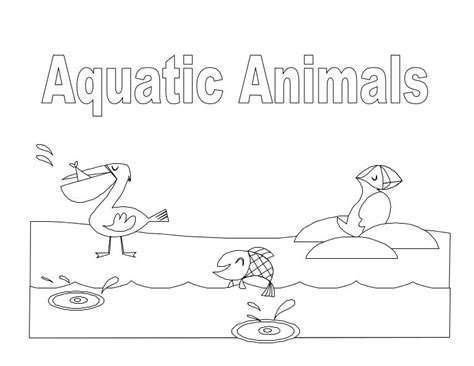 Aquatic Animals Coloring Book