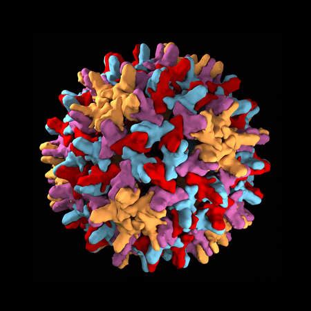 Stock Illustration - Human hepatitis B virus capsid