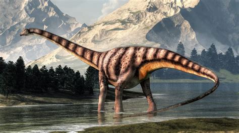 Diplodocus | Dinosaurs Wiki | Fandom