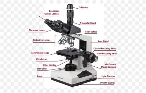 Light Phase Contrast Microscopy Optical Microscope Dark-field Microscopy, PNG, 521x521px, Light ...