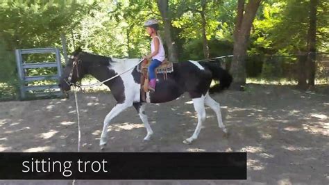 Youth Riding lessons - Trotting exercises and first canter for a 7 year ...