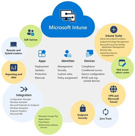 Arriba 75+ imagen office 365 caracteristicas - Abzlocal.mx