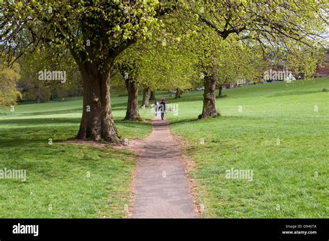 Abbey Fields in spring, Kenilworth, Warwickshire, UK Stock Photo - Alamy