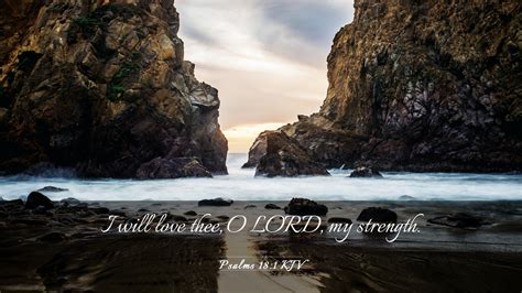 Psalms 18:1 KJV Desktop Wallpaper - I will love thee, O LORD, my