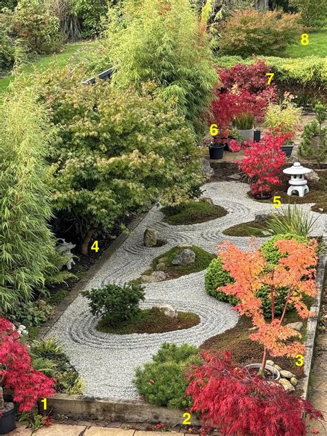 Fall colors on Japanese Maples! : r/JapaneseMaples