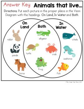 Land and Sea Animals Venn Diagram Worksheet by The Kinder Kids | TPT