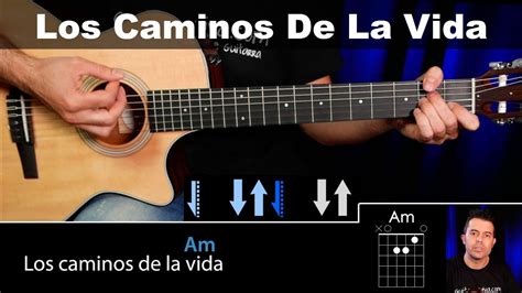 Cómo Tocar Los Caminos De La Vida Vicentico Tutorial Guitarra completo ...