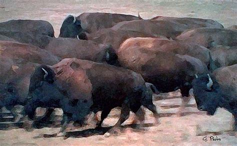 Buffalo Stampede | Buffalo painting, Stampede, Buffalo