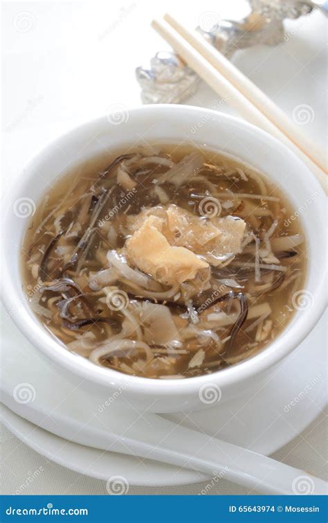 Snake soup stock photo. Image of dessert, swallow, fungus - 65643974