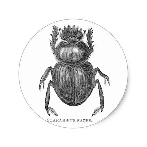 Scarab Beetle Classic Round Sticker | Zazzle.com | Scarab beetle, Beetle, Scarab