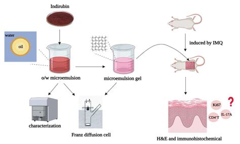 Transdermal Delivery of Indirubin-Loaded Microemulsion Gel: Preparation, Characterization and ...