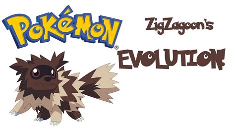 ZigZagoon's Evolution!! - YouTube