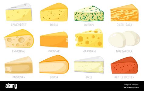 Cartoon cheese types. Cheese triangles, cheddar, brie, mozzarella, parmesan, camembert and brick ...