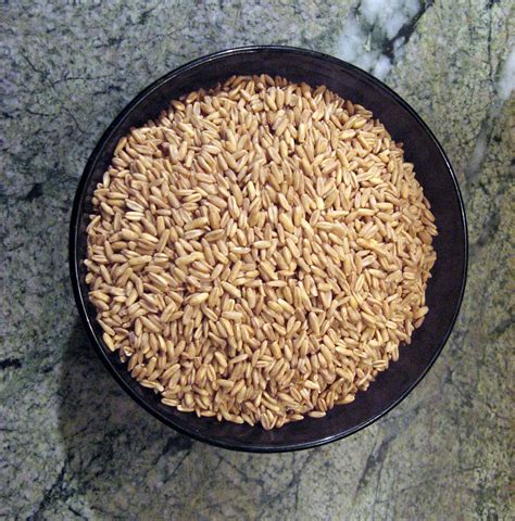 Eat whole grains to save your life - Dangerous Intersection