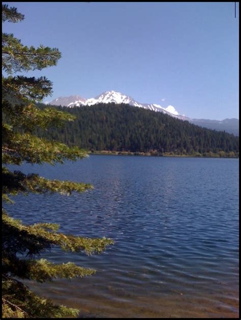 Camping Along I-5: Lake Siskiyou Camp